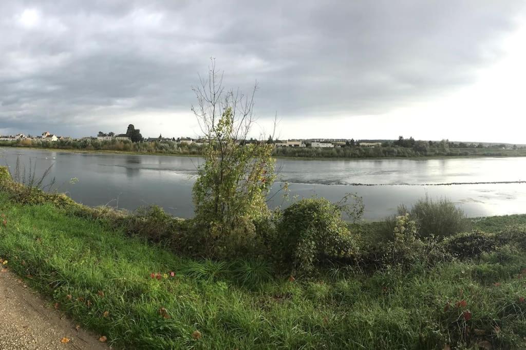 Apartament Nid Douillet Bord De Loire Blois Zewnętrze zdjęcie